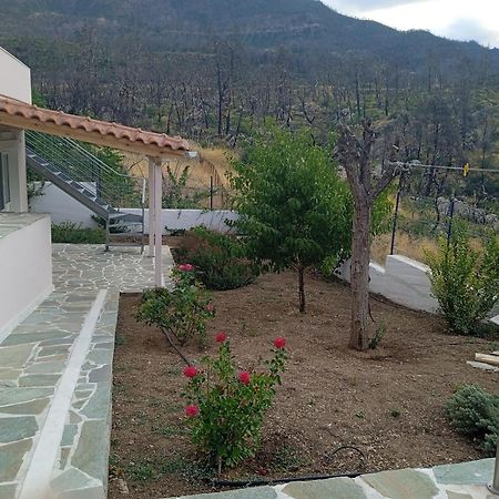 Villa Σπίτι Στο Βουνό Αλλά Μια Ανάσα Από Τη Θάλασσα Paleochori Exterior foto