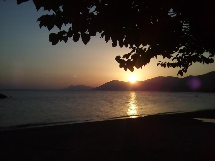 Villa Σπίτι Στο Βουνό Αλλά Μια Ανάσα Από Τη Θάλασσα Paleochori Exterior foto
