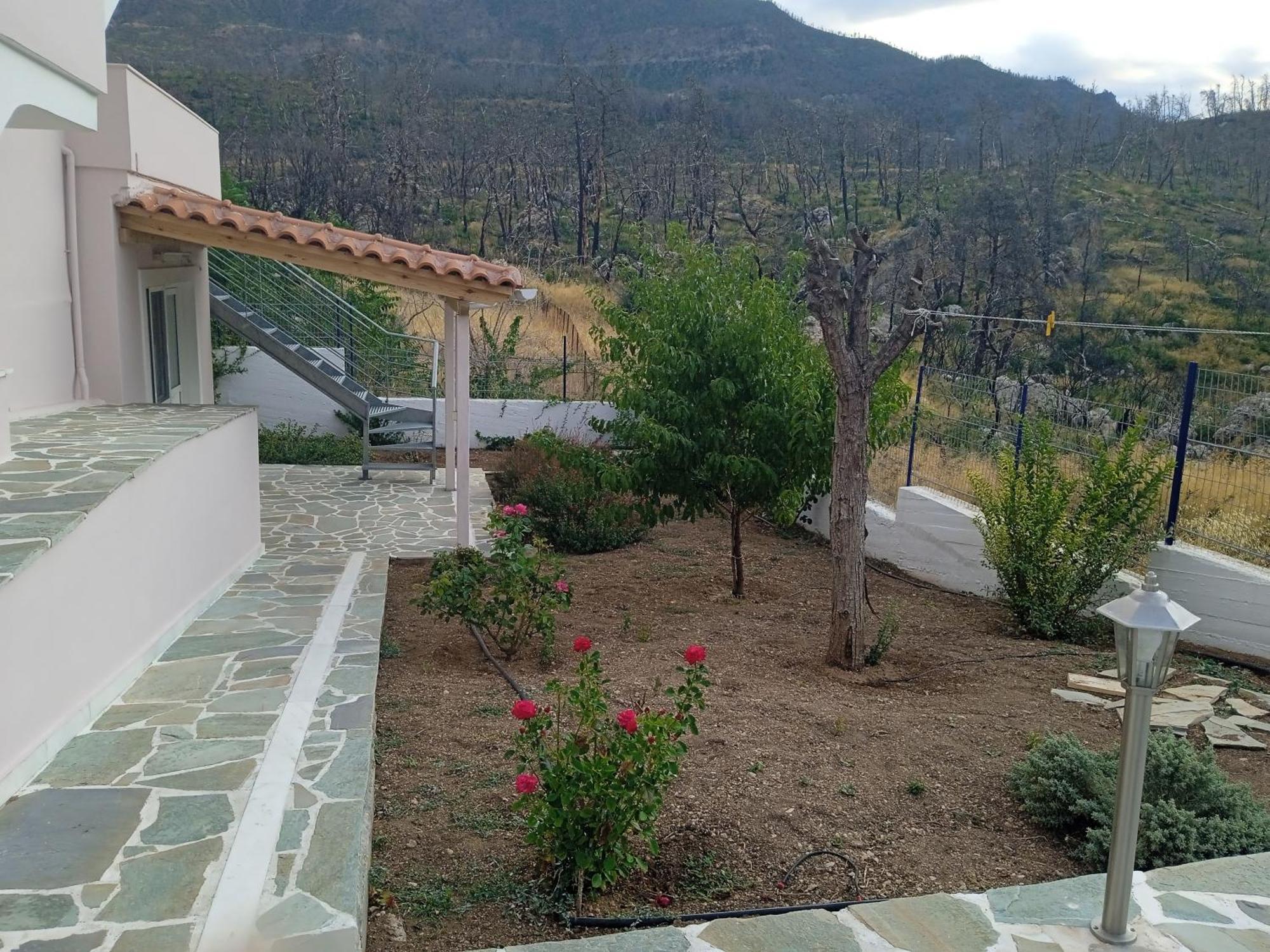 Villa Σπίτι Στο Βουνό Αλλά Μια Ανάσα Από Τη Θάλασσα Paleochori Exterior foto