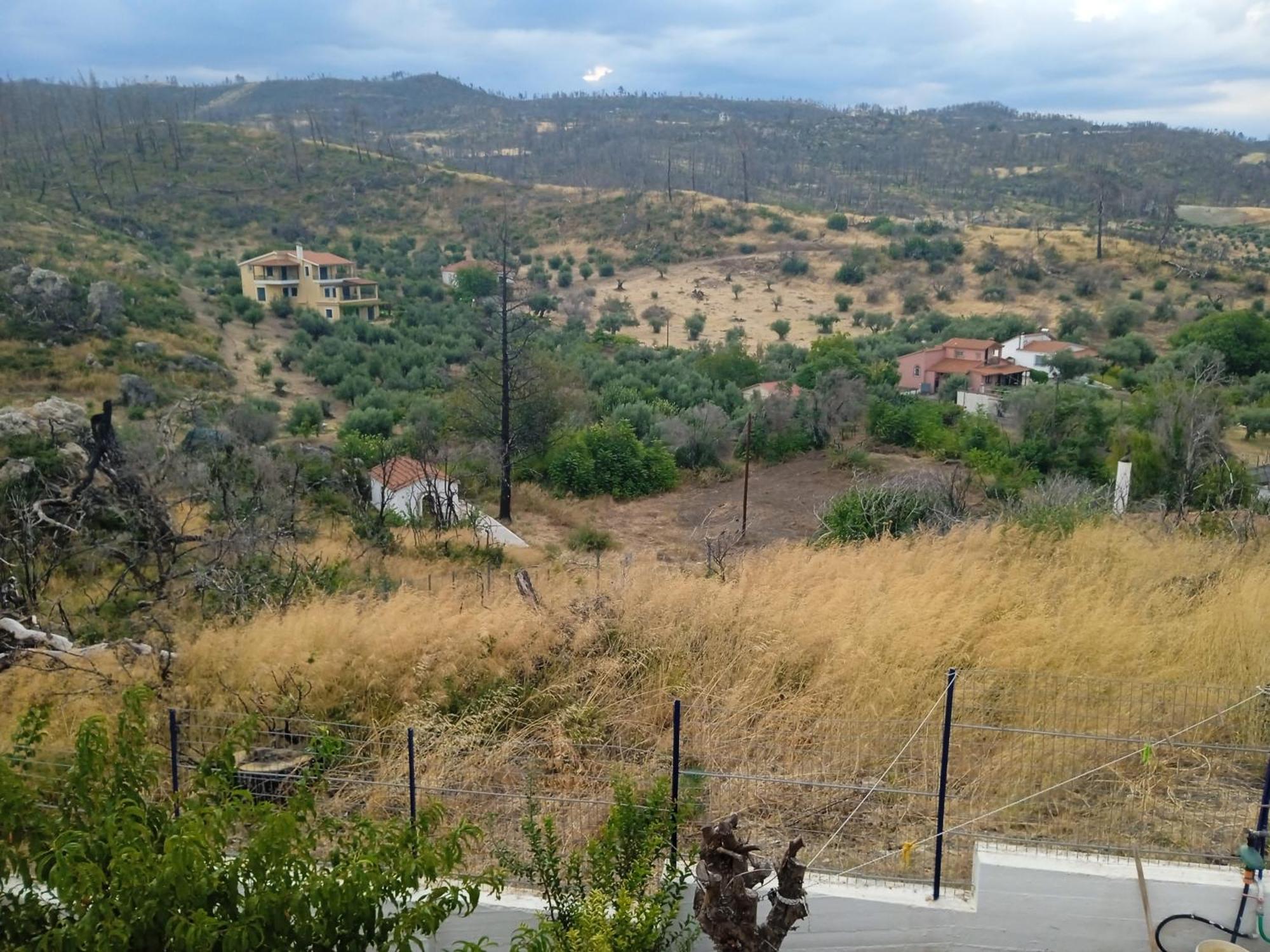 Villa Σπίτι Στο Βουνό Αλλά Μια Ανάσα Από Τη Θάλασσα Paleochori Exterior foto